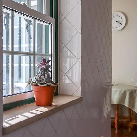 Traditional Portuguese - Casa Martins No 52 Apartamento