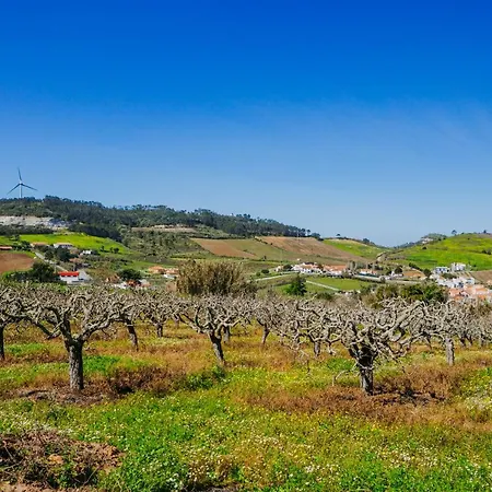 شقة Traditional Portuguese - Casa Martins No 52 Freiria