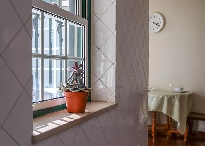 Traditional Portuguese - Casa Martins No 52 Appartement