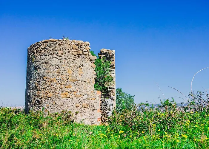 Traditional Portuguese - Casa Martins No 52